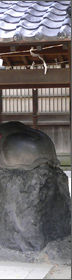 牛島神社 丑（うし） 干支詣で初詣 東京